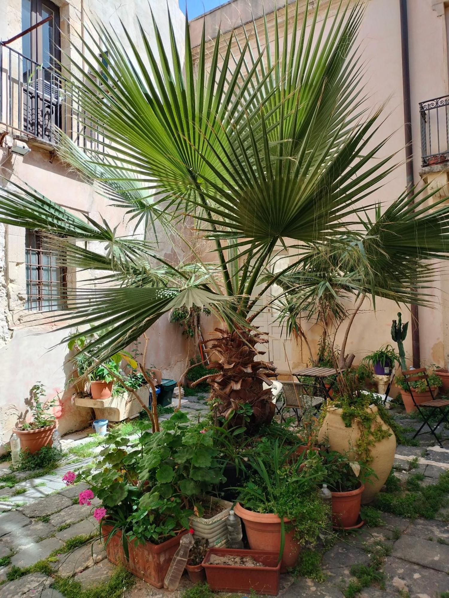 Apartment Casa La Palma Di Ortigia *